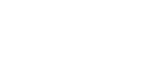 Security King